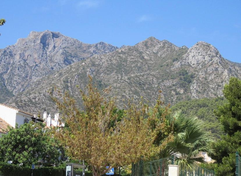 Apartamento Bien Situado En Marbella Exterior foto
